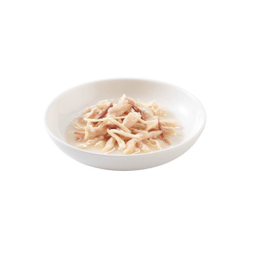 85 g Schesir Adult Frango e Boi lata para gatos, , large Imagem n&uacute;mero 2